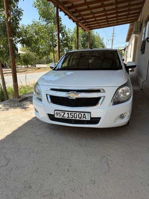 Cobalt ltz  2024