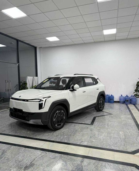 dongfeng elelktir
