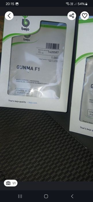 Varza GUNMA F 1 lichidare stoc