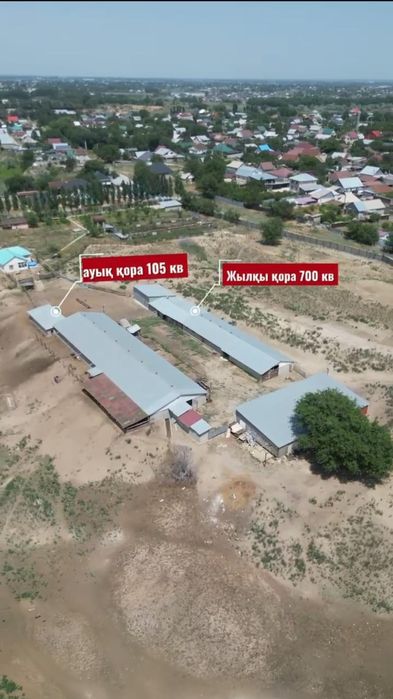 Фазенда 17 Гектаров