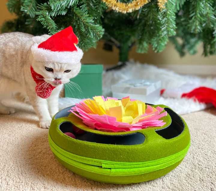 Игра за котки- пъзел - Cat Puzzle Toy