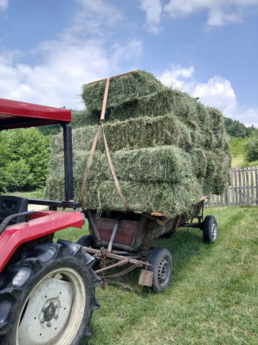Baloți fân de vânzare