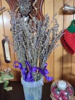 Букетики из сухосветов Лаванды
