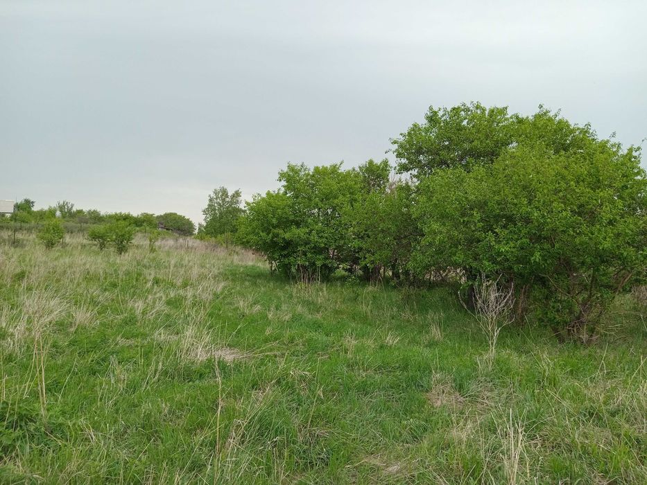 Земельный участок в Боровом