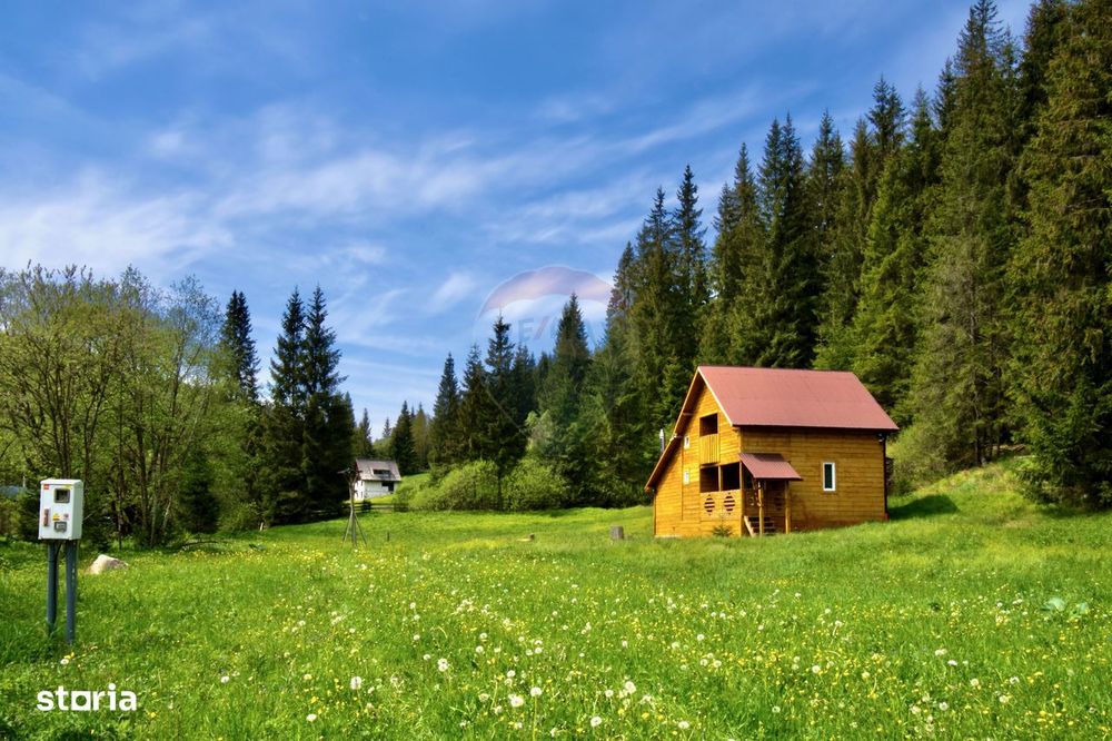 Casa de vacanta la munte – Poiana Horea, comuna Belis, jud. Cluj