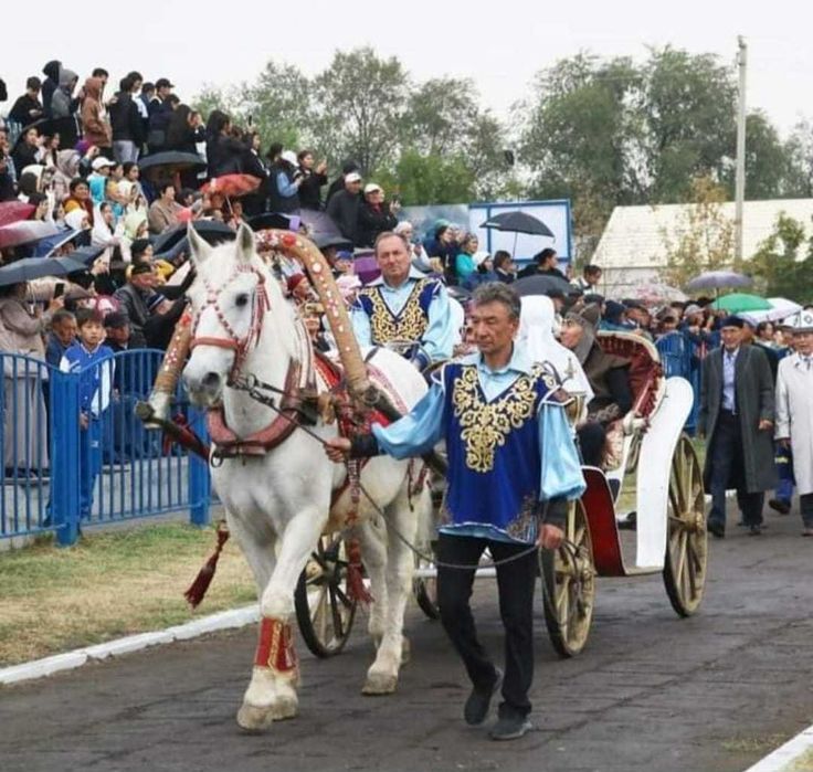 многоязычный ведущий