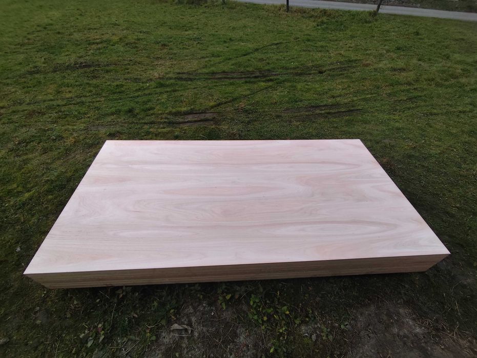 Vand placaj multistrat de fag