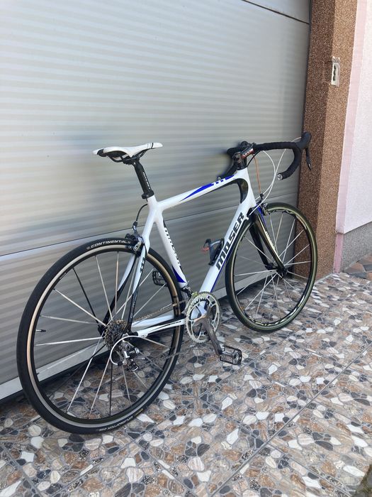 Bicicleta cursiera Moser 111 Carbon