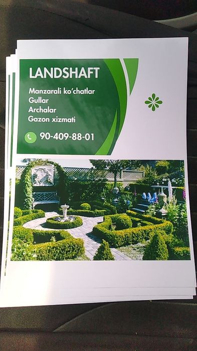 Landshaft gazon xizmati va mevali ko'chatlar. Archa qirqish obrezka