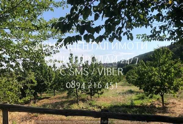 кодл 63086. Череши 4400м2 в отл. състояние, с ограда на 700м от селото