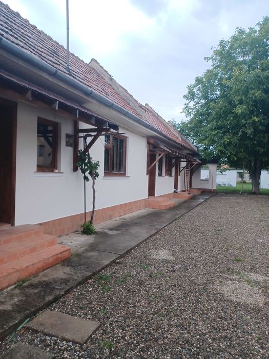 Camere renovate cu baie si intrare proprie la curte