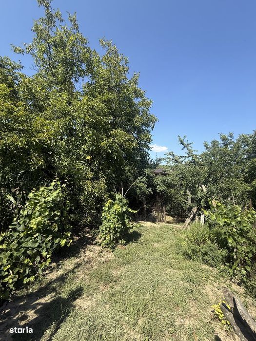 Casa in Margineni