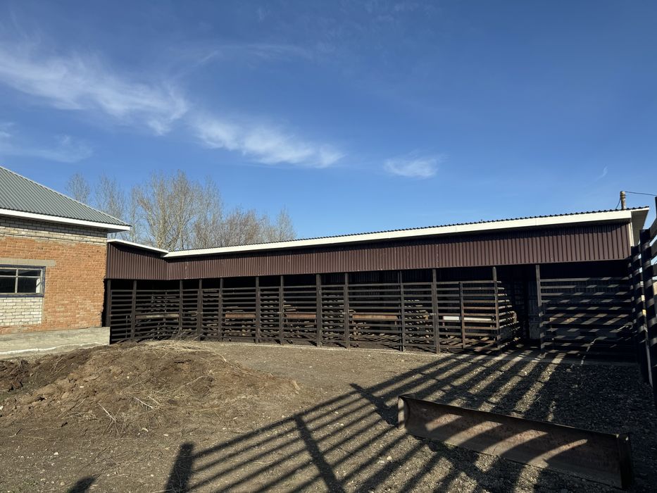 Конюшня в аренду.гСемей