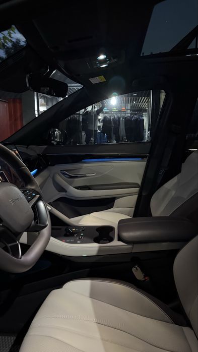 byd chempion smart full