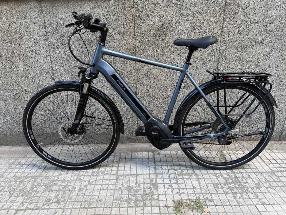 Pegasus Premio EVO cx/Shimano XT/Bosch Performance Line CX/Suntour NEX Air