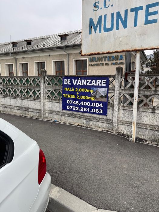 Hala de vanzare sau inchiriere in Filipesti de Padure.