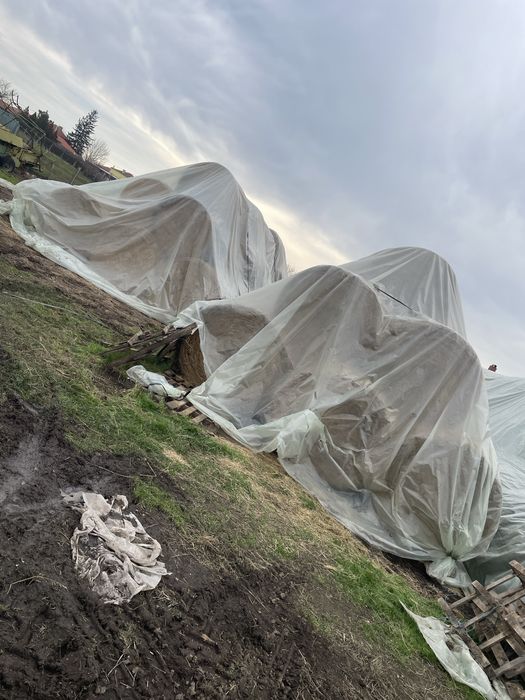 Бали люцерна и сено