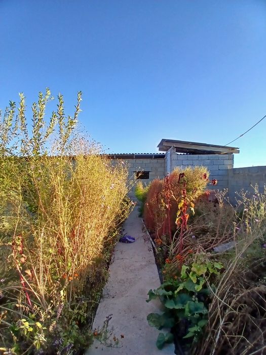 Срочно продам дом