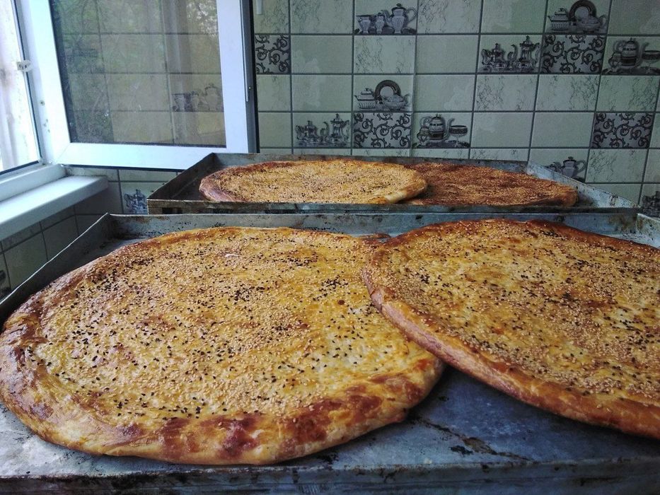 Elektricheskiy duxovka. 220v