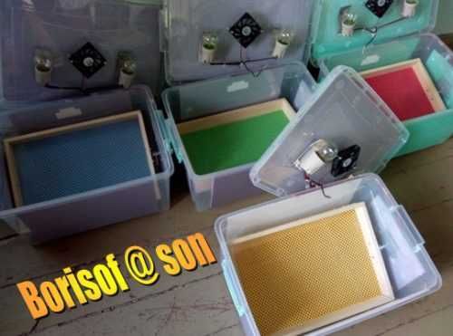 Инкубатори - български