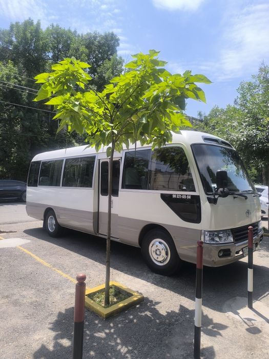 Автобус хизматлари