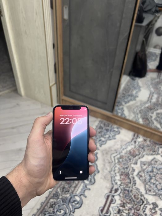 iPhone 12 mini ideal