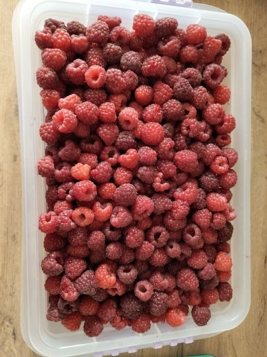 Очень вкусная домашняя малина