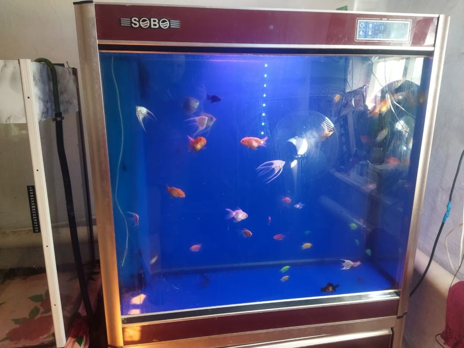 Аквариум 300литров