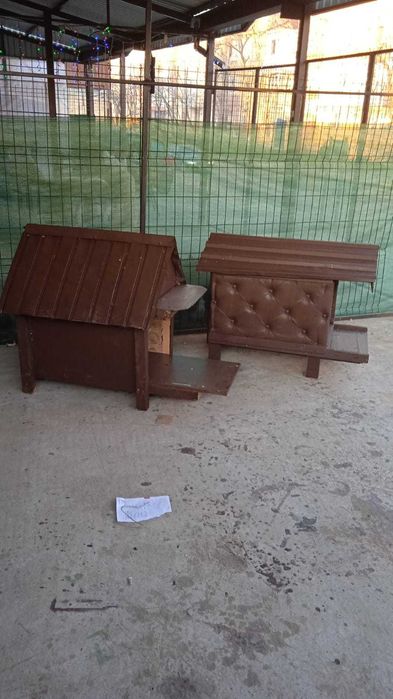 Cușcă câine la comandă calitate buna