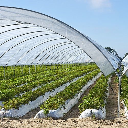 3 sotix (taxminan 300-333 m²) yer uchun issigxona yoylari
Sifatli meta