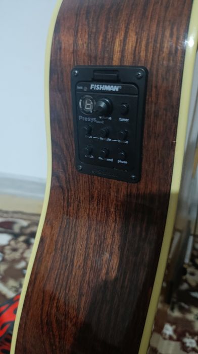 12 струналы электроакустическая