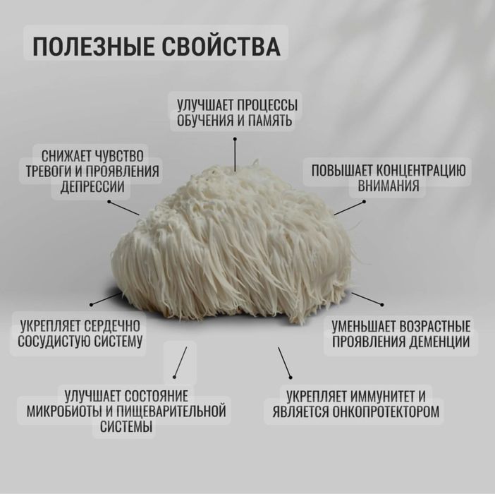 Ежовик гребенчатый и грибы в ассортименте
