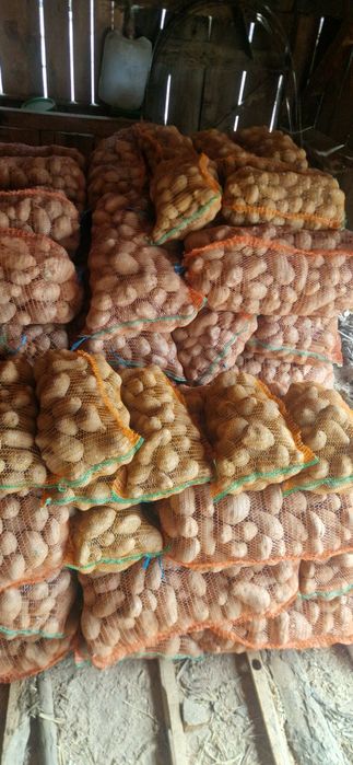 Cartofi consum alb și rosu