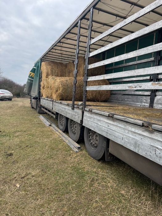 Baloti Rotunzi Lucerna min.40.or fan.Drept.min.500.Transport inclus>RO