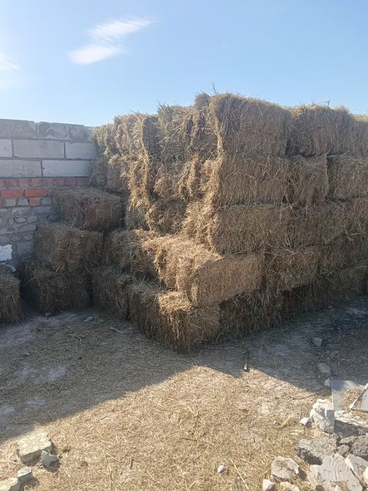 Продам сено в тюках