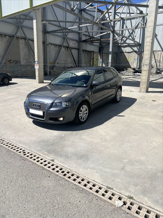 Аudi  А3 8p 1,9 tdi
