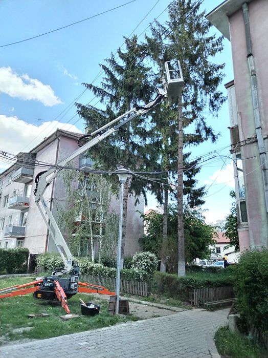 Inchiriere tocator crengi