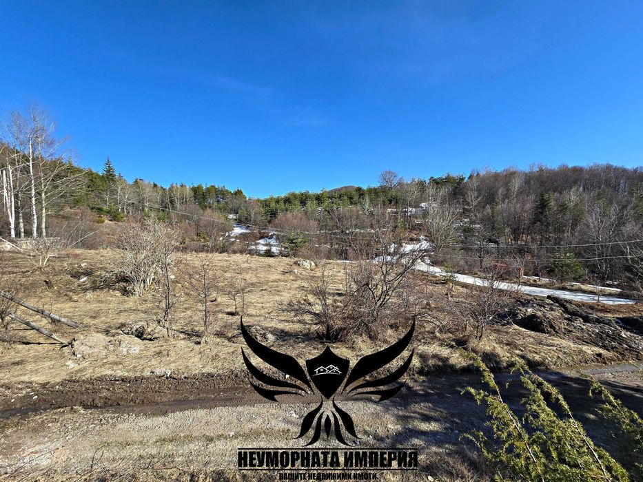 Продавам земя 5000 кв. в село Врата, местност Чуката общ.Асеновград