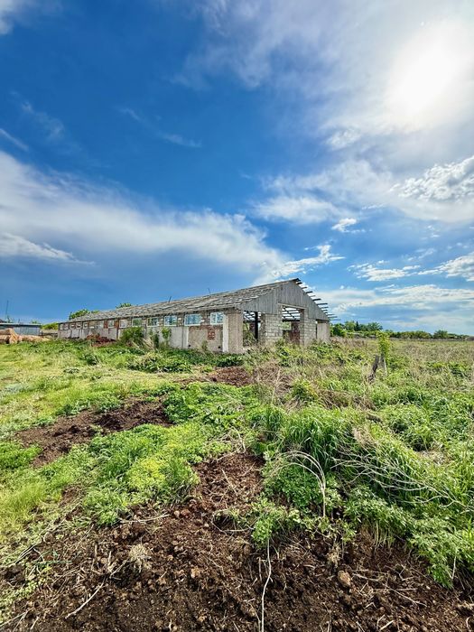 Бурабайский район. с. Златополье