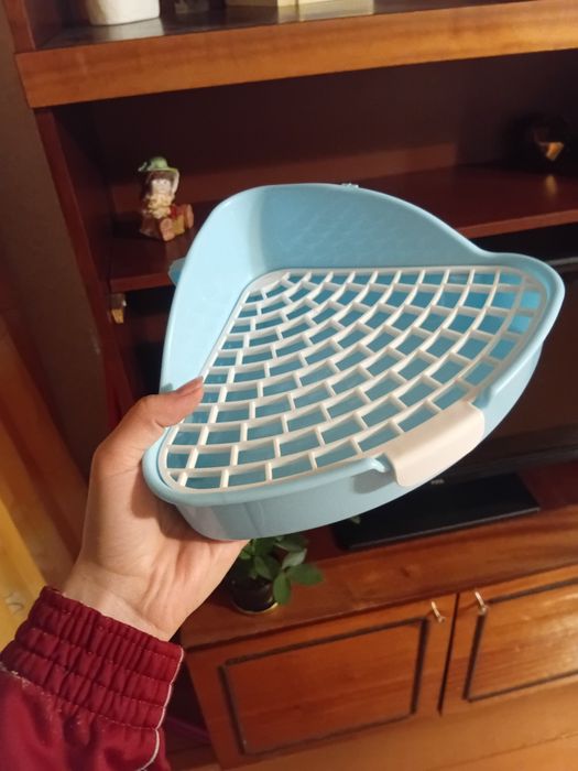 Лоток маленький,  серьги