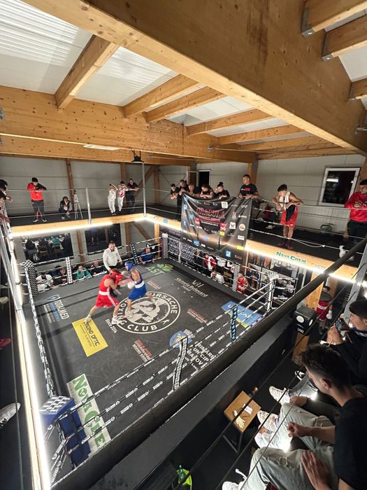 Ring de box de vanzare