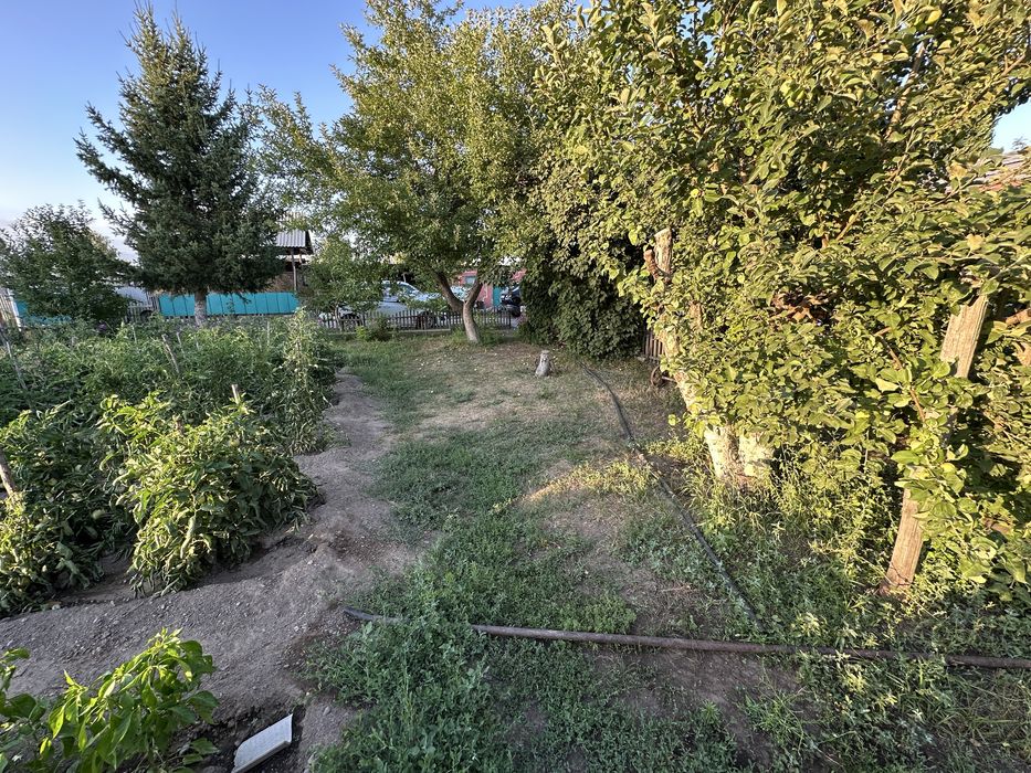 Продам дом с большим участком