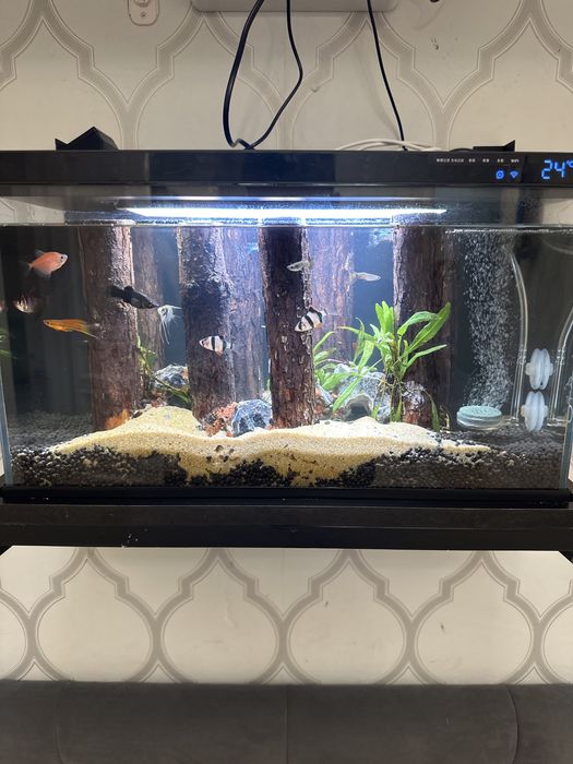 Продам аквариум полностью автомомный