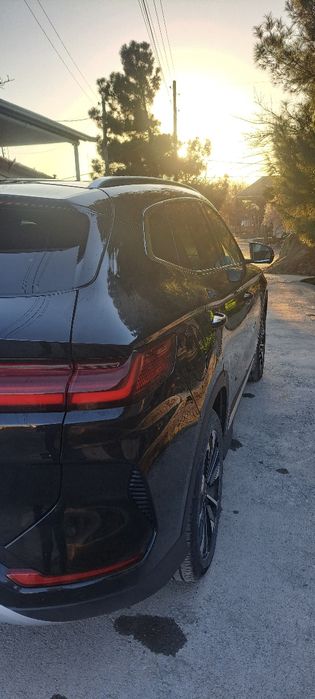 BYD champion restalin