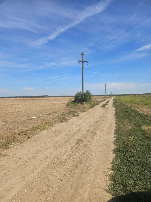 Oportunitate Investiție – Dezvoltare Rezidentiala - Teren 24.700 mp Zurbaua (Dragomirești-Vale, IF)