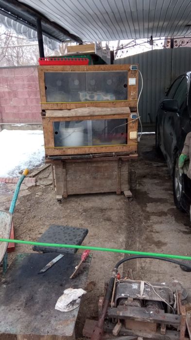 Бөдене шаруашылығы