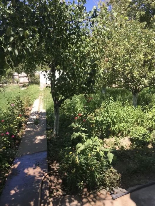 Дача 7.2 соток, 3 комнаты, 74 м2