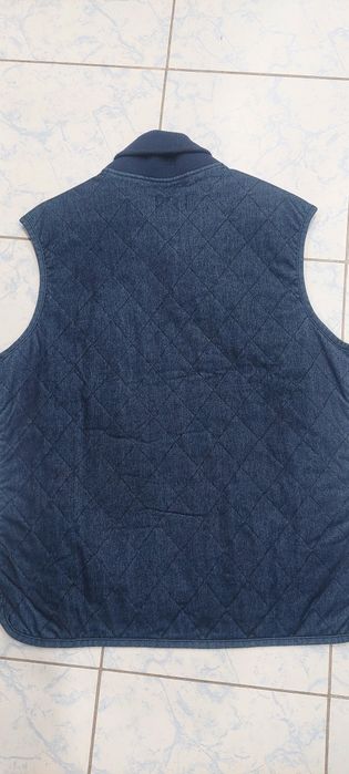vesta  barbati M Mango