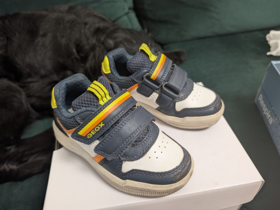 Geox adidași mărime 24