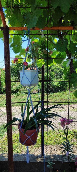 Двойно Макраме  за две саксии 14  лв..  двуцветни и бели 6.00лв.Канап